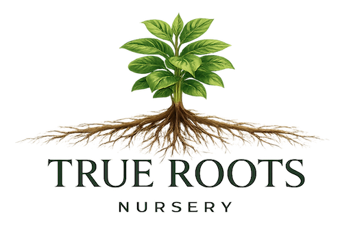 True Roots Nursery